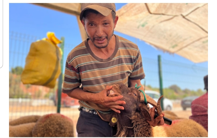 عيد الأضحى في المغرب: حين تنتصر الرسالة الملكية على الاستهلاك المفرط
