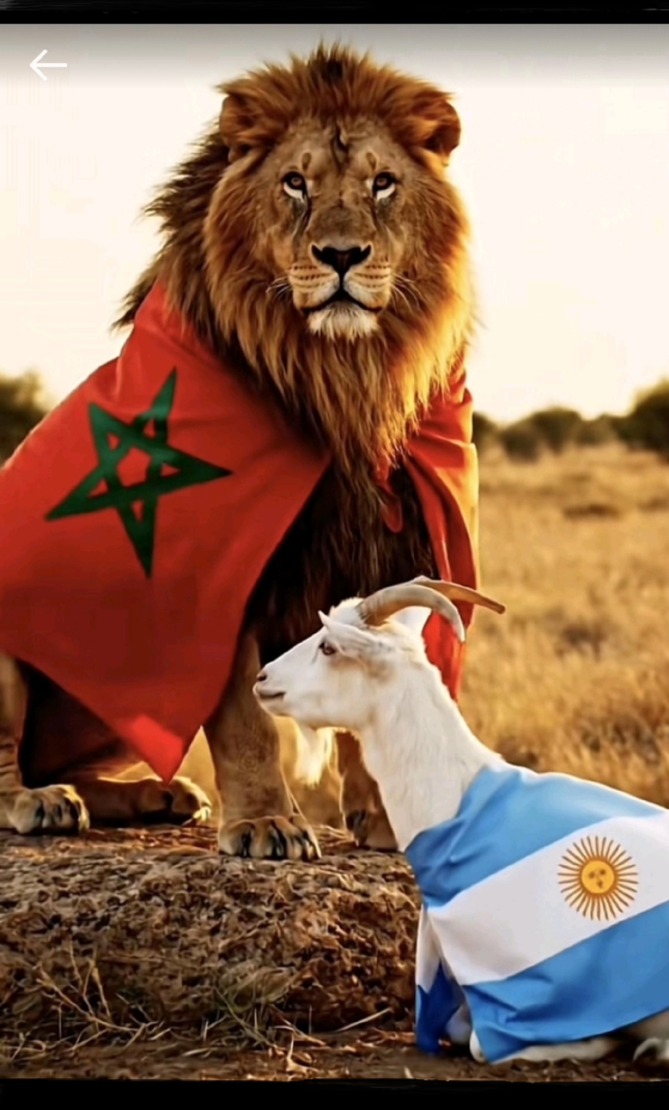 المغرب يتوّج بكأس العالم لكرة القدم للشباب 2025 بعد فوزه الساحق على الأرجنتين