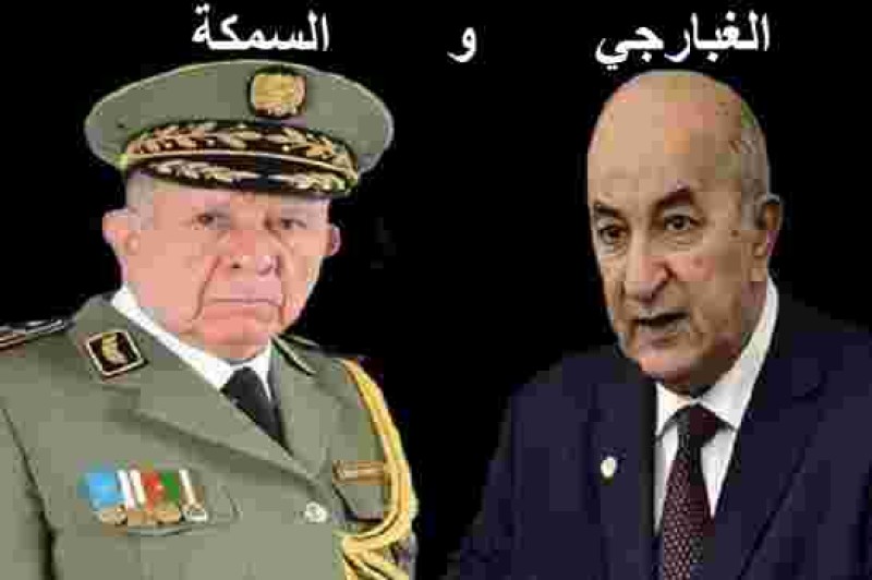 تبون يترأس اجتماعا للمجلس الأعلى للأمن في البلاد