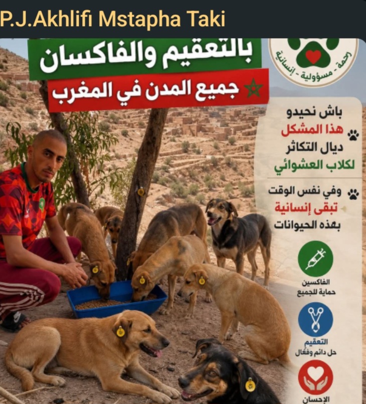 بين حماية الإنسان وصون كرامة الحيوان… التعقيم والتلقيح خيار المدن الذكية