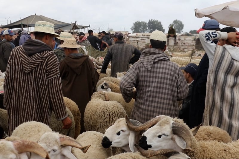 محاربة المضاربة … أم سياسة لتركيع الفقراء؟