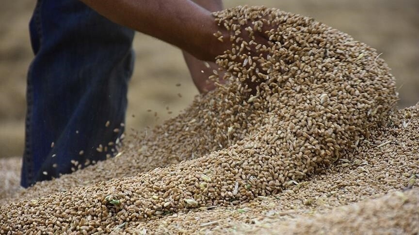 “الفاو” تحذر من النقص الفوري في الغذاء بسبب الحرب على إيران