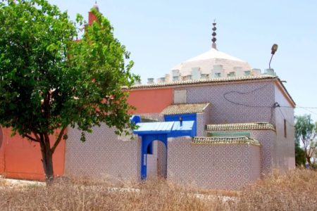 سيدي امحمد البهلول”.. موسم يهز سكون البهالة ويوقظ ترابها من سباته