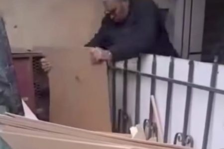 Meknès : plusieurs chiots tués à coups de planche, un dernier laissé agonisant …
