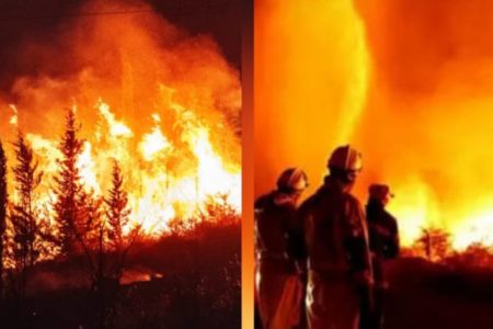 حرائق بوردو.. كارثة بيئية تجبر مئات الآلاف على الإجلاء