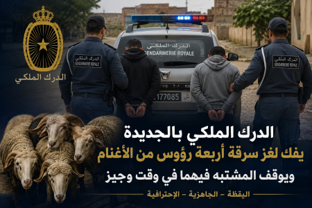 الدرك الملكي بالجديدة يفك لغز سرقة أربعة رؤوس من الأغنام ويوقف المشتبه فيهما في وقت وجيز