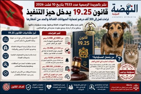 قانون 19.25 يدخل حيز التنفيذ.. غرامات تصل إلى 300 ألف درهم ومسؤوليات جديدة في مواجهة ظاهرة الحيوانات الضالة