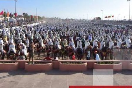 البلاغ الصحافي-الرابع / 134 سرية و2140 فارسا فى إحصاء قياسى لموسم مولاى عبد الثه أمغار